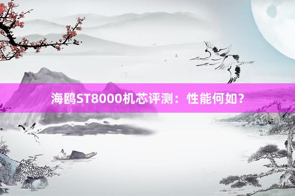 海鸥ST8000机芯评测：性能何如？